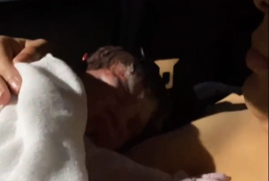 mulher-da-a-luz-em-carro-na-noite-de-reveillon-em-ipojuca3A-video-do-parto mulher-da-a-luz-em-carro-na-noite-de-reveillon-em-ipojuca3A-video-do-parto