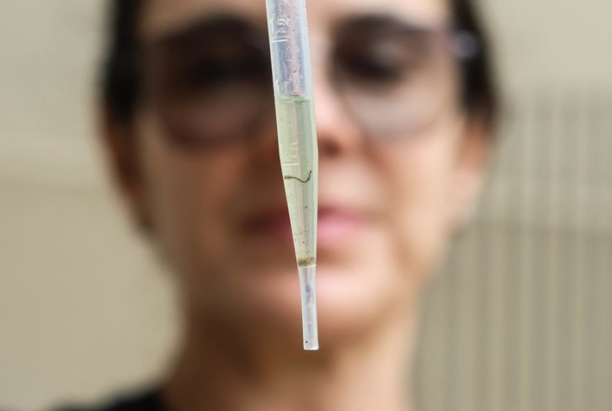 mulher-de-33-anos-e-vitima-fatal-da-dengue-em-sao-sebastiao-em-20253A-de-e-regiao-somam-11-mortes-e-16-mil-casos