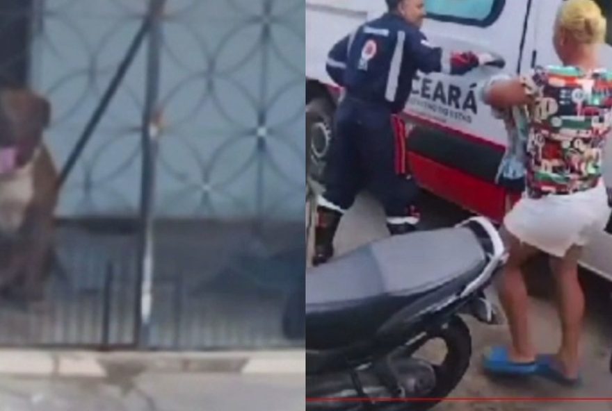 mulher-e-atacada-por-pitbull-em-maracanau3A-incidente-gera-alerta-sobre-seguranca-com-animais