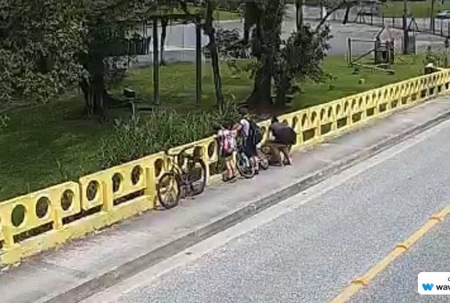 mulher-e-condenada-por-jogar-cachorro-de-ponte-em-sc-na-frente-dos-filhos3B-video