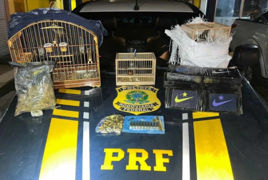 mulher-e-presa-em-flagrante-com-drogas-e-aves-silvestres-na-br-116-em-feira-de-santana