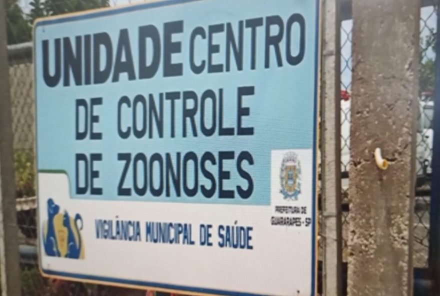 mulher-em-guararapes-sp-multada-em-r24-38-mil-por-maus-tratos-a-caes-e-animais-silvestres mulher-em-guararapes-sp-multada-em-r24-38-mil-por-maus-tratos-a-caes-e-animais-silvestres