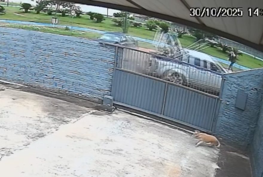 mulher-escapa-por-pouco-de-ser-atropelada-em-ponta-grossa2C-parana3B-video-impressionante-assista-agora