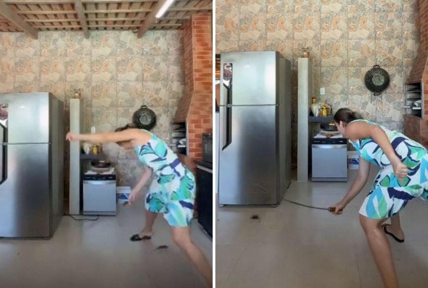 mulher-goiana-enfrenta-ratos-com-espeto-de-churrasco3A-o-video-viral-que-conquistou-a-internet mulher-goiana-enfrenta-ratos-com-espeto-de-churrasco3A-o-video-viral-que-conquistou-a-internet