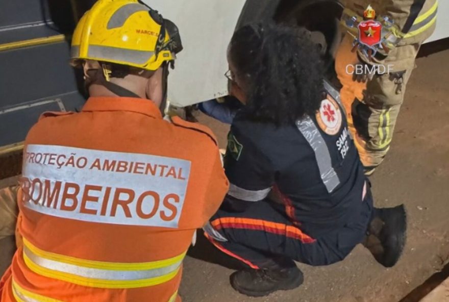mulher-morre-atropelada-em-garagem-de-onibus-no-df3A-comunidade-pede-justica-e-seguranca mulher-morre-atropelada-em-garagem-de-onibus-no-df3A-comunidade-pede-justica-e-seguranca