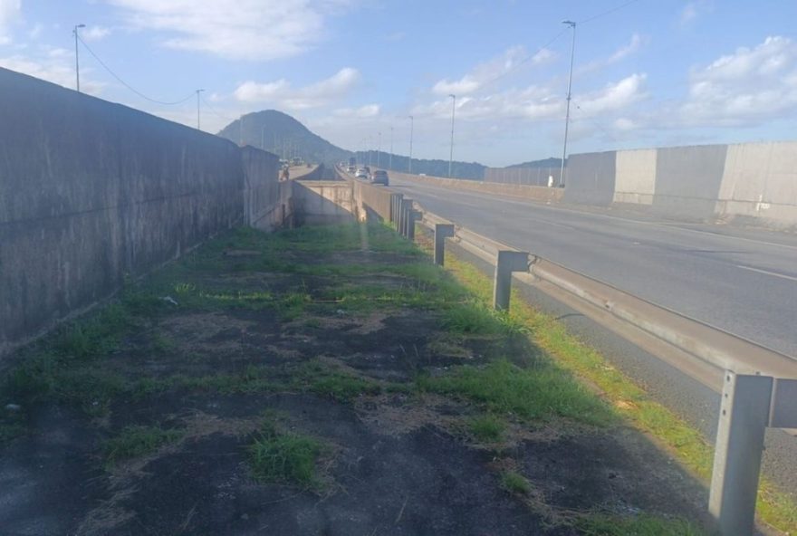 mulher-morta-na-imigrantes3A-policia-busca-identidade-da-vitima-com-sinais-de-violencia mulher-morta-na-imigrantes3A-policia-busca-identidade-da-vitima-com-sinais-de-violencia