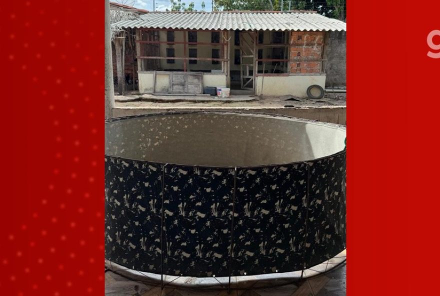 mulher-presa-por-rinha-clandestina-de-galos-em-caxias2C-ma mulher-presa-por-rinha-clandestina-de-galos-em-caxias2C-ma