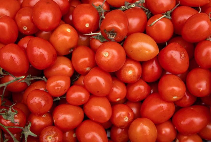 mulher-recebe-indenizacao-apos-acidente-em-supermercado3A-decisao-destaca-responsabilidade-das-empresas mulher-recebe-indenizacao-apos-acidente-em-supermercado3A-decisao-destaca-responsabilidade-das-empresas