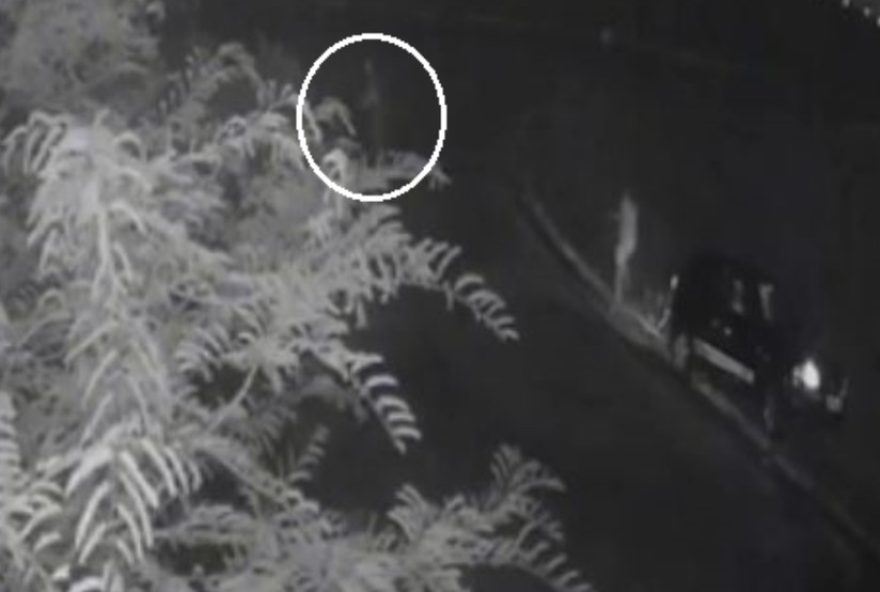 mulher-salta-de-carro-em-movimento-para-escapar-de-agressao-e-e-salva-por-policiais3A-video-chocante mulher-salta-de-carro-em-movimento-para-escapar-de-agressao-e-e-salva-por-policiais3A-video-chocante