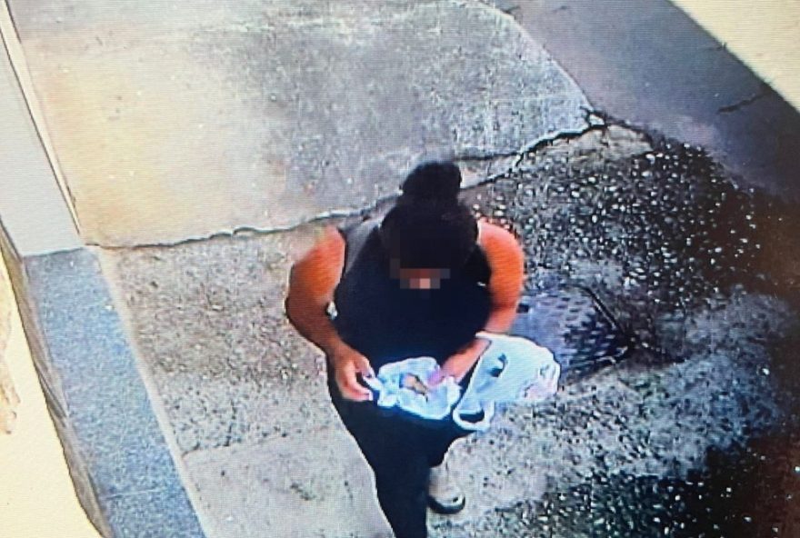 mulher-suspeita-de-envenenar-caes-e-solta-em-juiz-de-fora3B-video-e-detalhes-do-caso