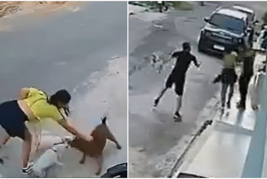 mulher-tem-cachorros-atacados-por-pitbull-e-e-agredida-em-ubajara3A-caso-e-investigado mulher-tem-cachorros-atacados-por-pitbull-e-e-agredida-em-ubajara3A-caso-e-investigado