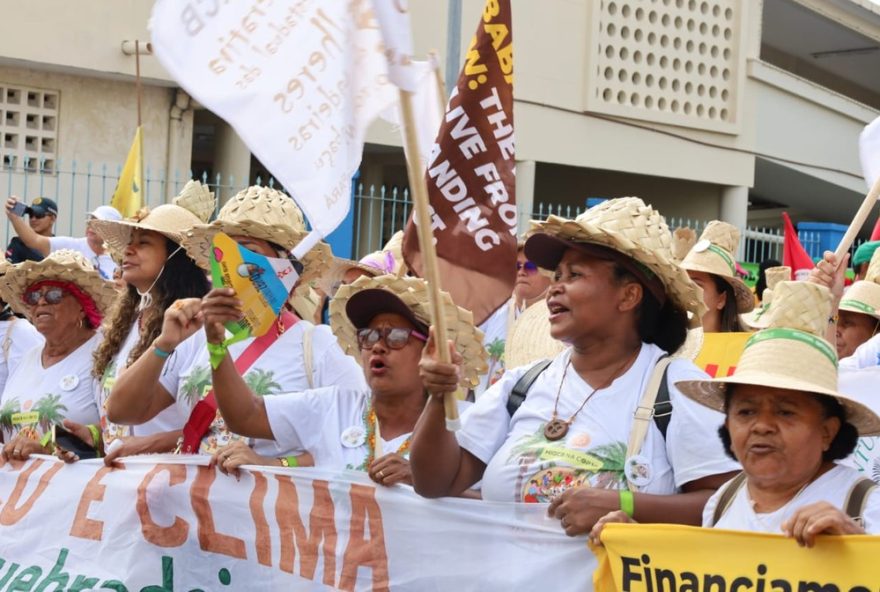 mulheres-do-babacu-do-maranhao-levam-pauta-territorial-a-cop30 mulheres-do-babacu-do-maranhao-levam-pauta-territorial-a-cop30