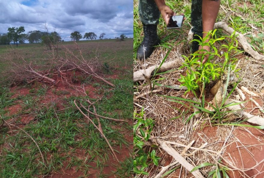 multas-por-degradacao-ambiental-no-oeste-paulista3A-r24-42C3-mi-em-2025 multas-por-degradacao-ambiental-no-oeste-paulista3A-r24-42C3-mi-em-2025