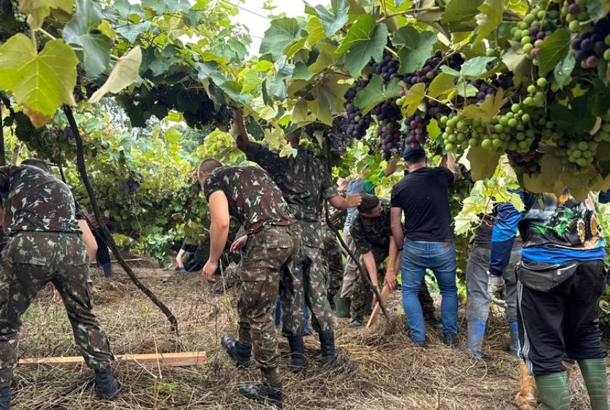 mutirao-de-militares-e-voluntarios-na-reconstrucao-de-parreirais-na-serra-gaucha mutirao-de-militares-e-voluntarios-na-reconstrucao-de-parreirais-na-serra-gaucha