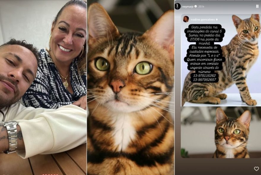 nadine-goncalves2C-mae-de-neymar-jr.2C-pede-ajuda-para-encontrar-gata-de-estimacao-leoa-perdida-em-santos-sp-saiba-mais