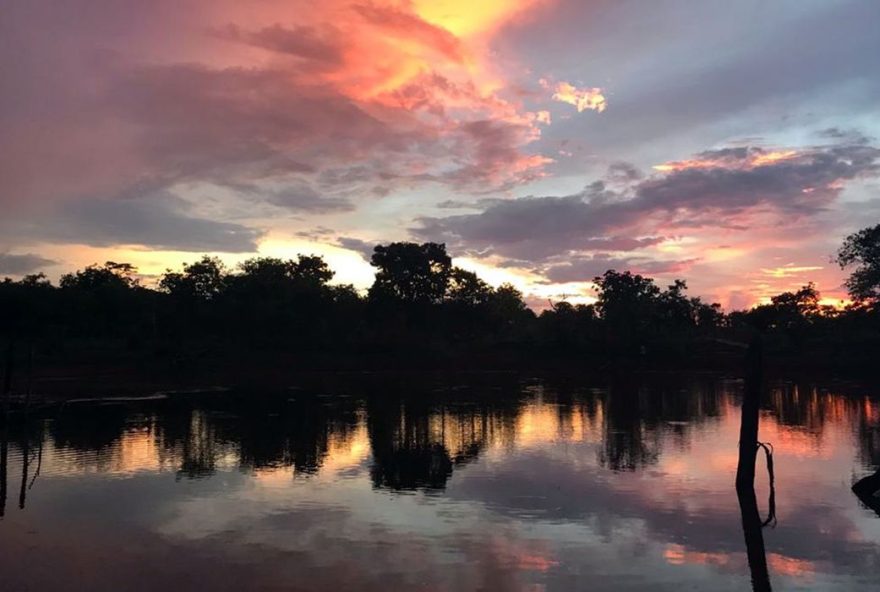 Dia Mundial da Água: Cerrado pode perder quase 34% da água até 2050