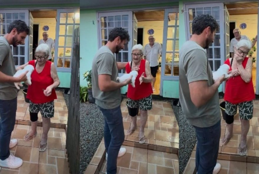 neto-surpreende-avos-com-filhote-emocionante-em-santa-catarina3A-a-historia-de-amor-que-viralizou neto-surpreende-avos-com-filhote-emocionante-em-santa-catarina3A-a-historia-de-amor-que-viralizou