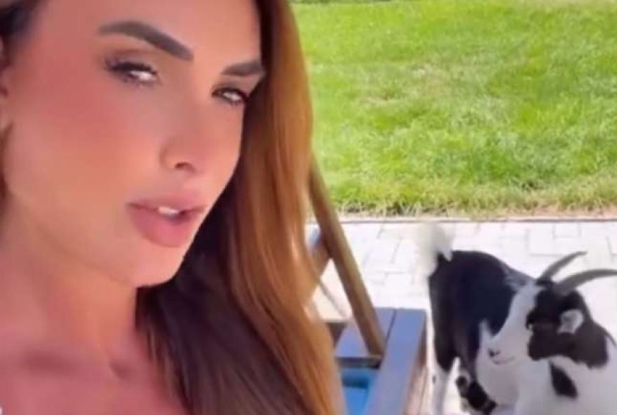 nicole-bahls-surpreende-seguidores-com-descoberta-inusitada-sobre-cabrito-em-seu-sitio-confira nicole-bahls-surpreende-seguidores-com-descoberta-inusitada-sobre-cabrito-em-seu-sitio-confira
