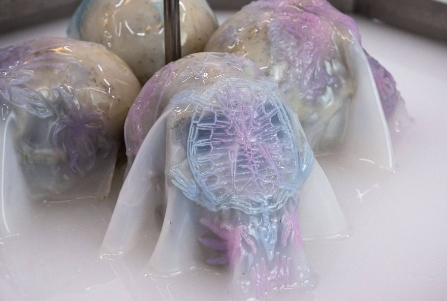 nova-bienal-de-arte-em-goiania-em-marco nova-bienal-de-arte-em-goiania-em-marco