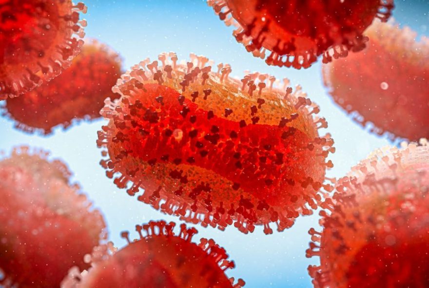 nova-cepa-de-mpox-preocupa-autoridades-de-saude-em-sp3A-segundo-caso-identificado-e-medidas-de-controle-intensificadas nova-cepa-de-mpox-preocupa-autoridades-de-saude-em-sp3A-segundo-caso-identificado-e-medidas-de-controle-intensificadas