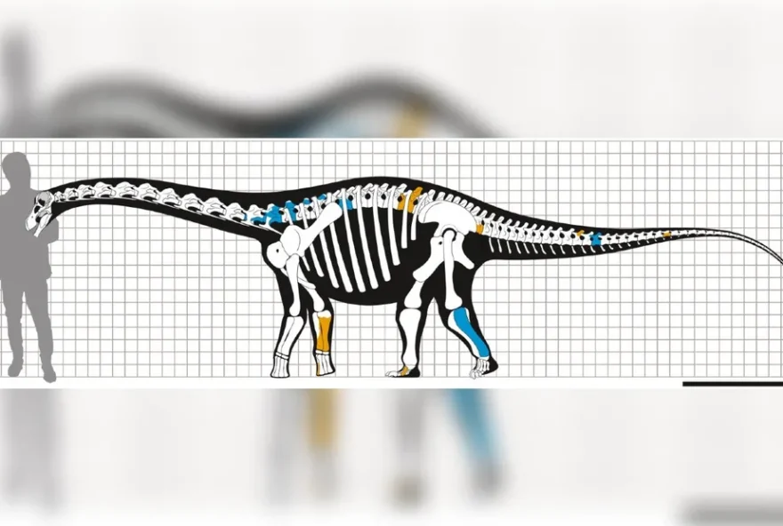 nova espécie de dinossauro divulgada