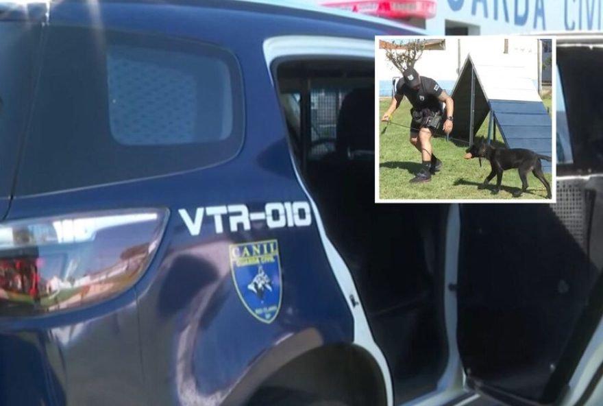 nova-viatura-para-caes-da-gcm-em-rio-claro-custa-r24450-mil-e-possui-climatizador nova-viatura-para-caes-da-gcm-em-rio-claro-custa-r24450-mil-e-possui-climatizador