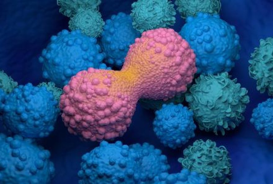 novo-tratamento-dobra-a-sobrevida-no-cancer-de-cabeca-e-pescoco-avancado