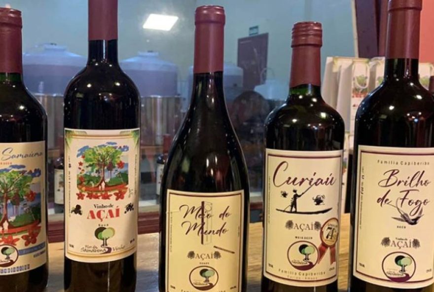 o-vinho-de-acai-que-lula-quer-oferecer-na-cop303A-uma-surpresa-etilica o-vinho-de-acai-que-lula-quer-oferecer-na-cop303A-uma-surpresa-etilica