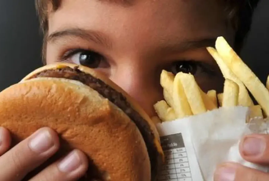 Um estudo realizado pela Consumer Reports, associação de defesa do consumidor nos Estados Unidos encontrou a presença de plástico “generalizado” em alimentos comercializados nas empresas de fast-food McDonald’s e Burger King. Reprodução: Agência Brasil