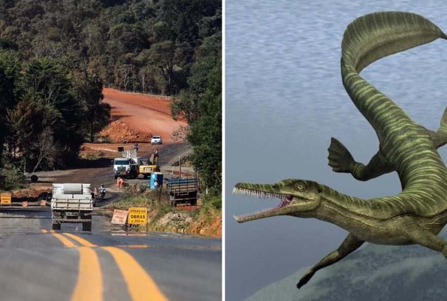 obra-de-asfalto-paralisada-no-parana-por-fosseis-raros3A-der-pr-estuda-solucoes