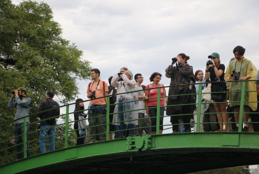 observacao-de-aves-em-sp3A-projeto-gratuito-promove-contato-com-a-natureza observacao-de-aves-em-sp3A-projeto-gratuito-promove-contato-com-a-natureza