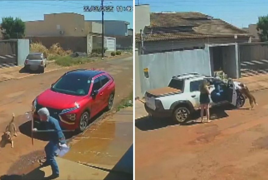 oficial-de-justica-atira-em-cachorro-em-santa-helena-de-goias3A-video-e-investigacao-em-andamento