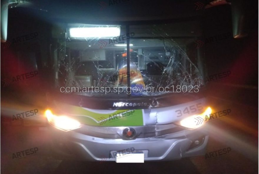 onibus-com-22-passageiros-colide-com-caminhao-em-rodovia-de-sp3A-detalhes-do-acidente-e-interdicao onibus-com-22-passageiros-colide-com-caminhao-em-rodovia-de-sp3A-detalhes-do-acidente-e-interdicao