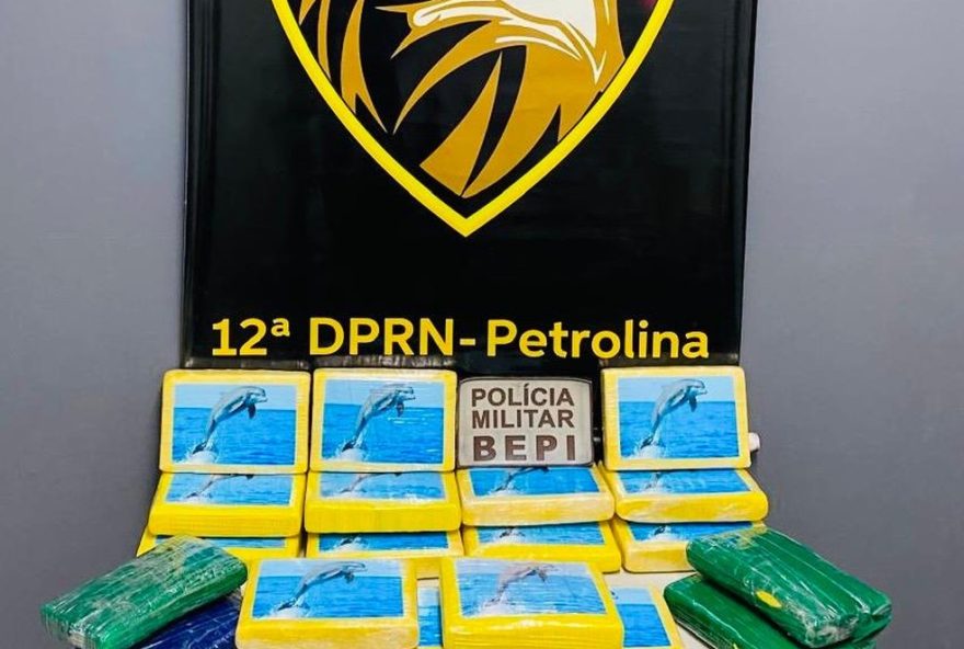 operacao-cactus3A-pc-apreende-20kg-de-cocaina-em-petrolina2C-pernambuco