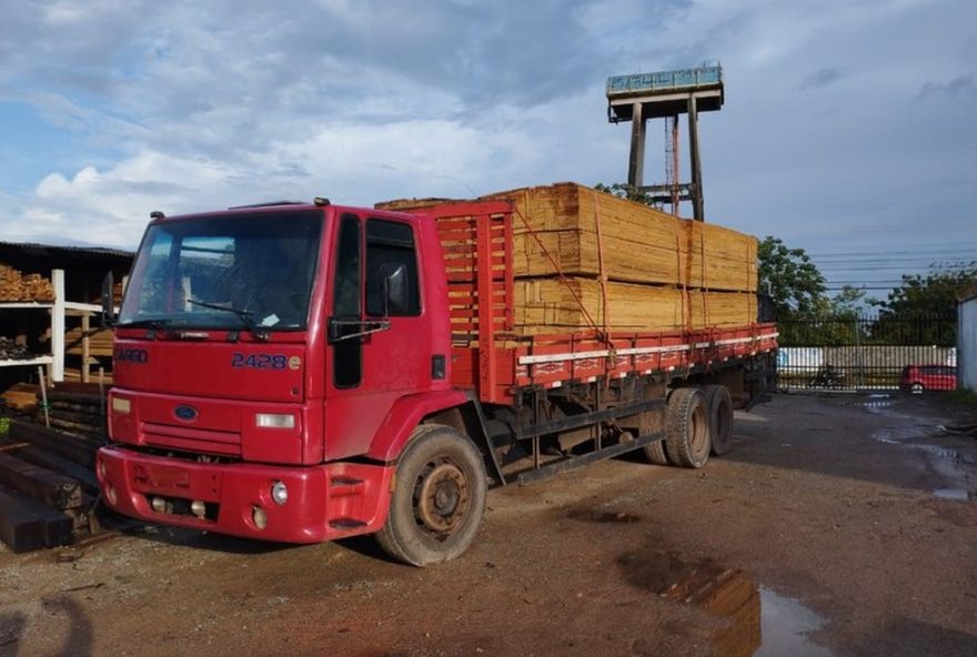 operacao-da-pf-e-ibama-no-maranhao-combate-comercio-ilegal-de-produtos-florestais