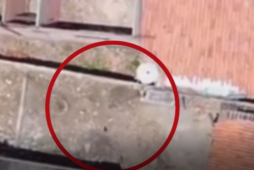 operacao-da-policia-civil-no-ma-flagra-homem-jogando-droga-e-arma-em-terreno-com-drone-em-timon