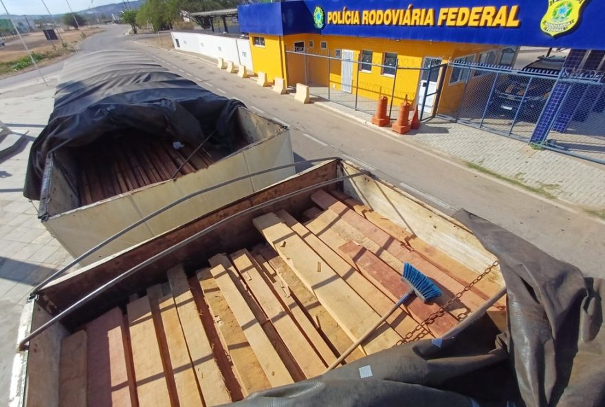 operacao-da-prf-no-sertao-de-pe-combate-desmatamento-ilegal-com-apreensao-de-3312C6m3-de-madeira operacao-da-prf-no-sertao-de-pe-combate-desmatamento-ilegal-com-apreensao-de-3312C6m3-de-madeira