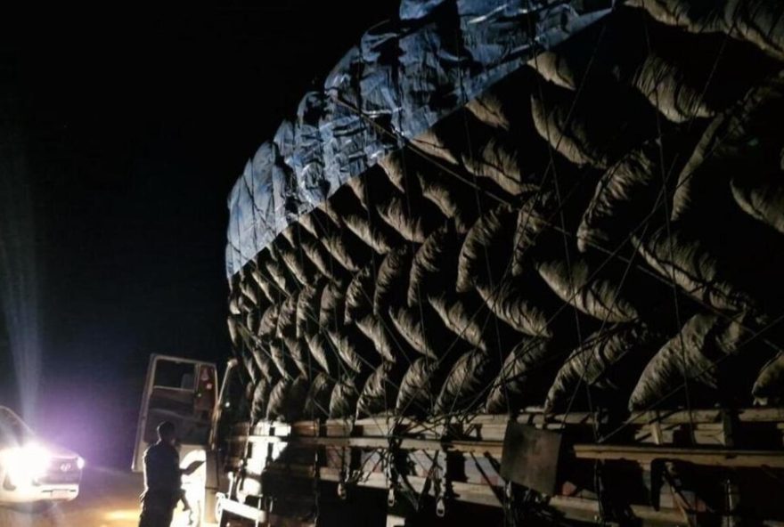 operacao-divisa-aplica-r24-32C5-mi-em-multas-ambientais-por-transporte-ilegal-de-carvao-e-desmatamento-irregular