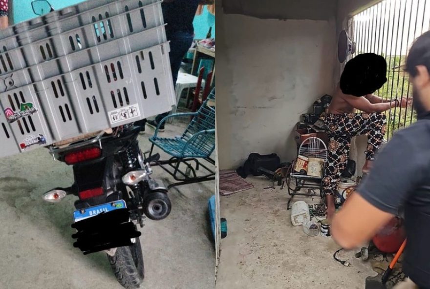 operacao-pitanga3A-policia-civil-detem-quadrilha-que-fazia-refens-em-granjas-de-igarassu operacao-pitanga3A-policia-civil-detem-quadrilha-que-fazia-refens-em-granjas-de-igarassu