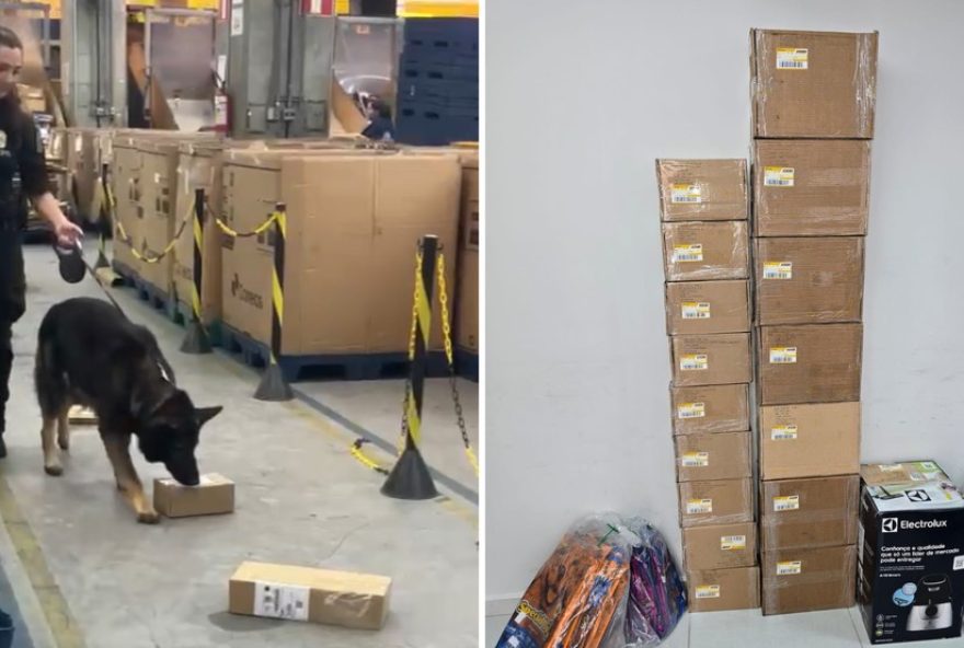 operacao-policial-desmantela-quadrilha-de-trafico-pelos-correios-em-operacao-no-parana2C-com-59-mandados-em-aberto.-colabore