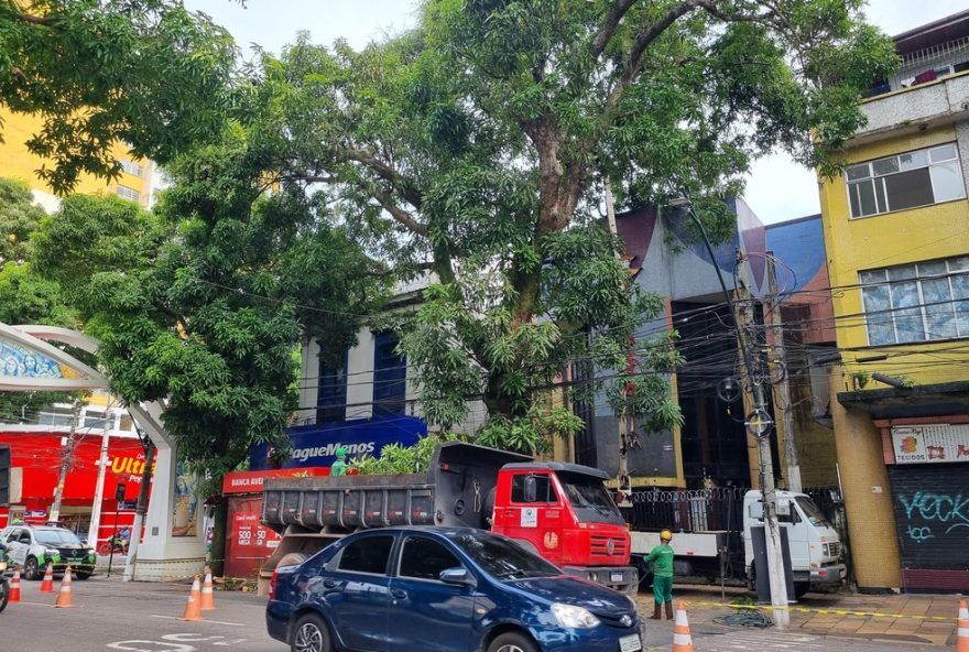 operacao-retira-mangueira-de-risco-na-avenida-nazare-em-belem