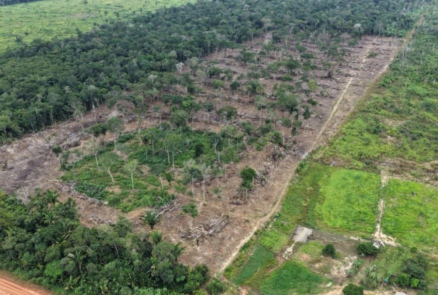 operacao-tamoiotata-63A-r24-282C2-milhoes-em-multas-no-amazonas operacao-tamoiotata-63A-r24-282C2-milhoes-em-multas-no-amazonas