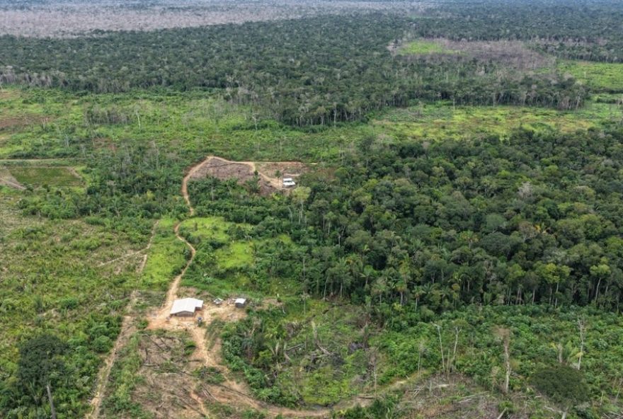 operacao-tamoiotata-aplica-r24-12C7-mi-em-multas-por-desmatamento-na-br-230-no-amazonas operacao-tamoiotata-aplica-r24-12C7-mi-em-multas-por-desmatamento-na-br-230-no-amazonas