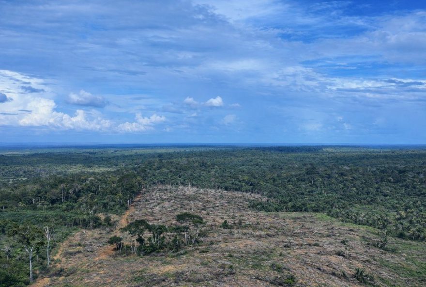 operacao-tamoiotata-embarga-area-desmatada-no-sul-do-amazonas3A-multas-e-acoes-de-preservacao-em-destaque operacao-tamoiotata-embarga-area-desmatada-no-sul-do-amazonas3A-multas-e-acoes-de-preservacao-em-destaque