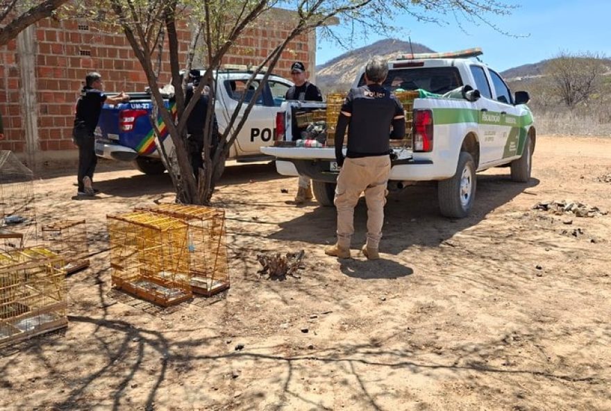 operacao-varredura-da-cprh-apreende-100-passaros-em-serra-talhada-e-aplicacao-de-multas-de-r24-63-mil-por-crimes-ambientais