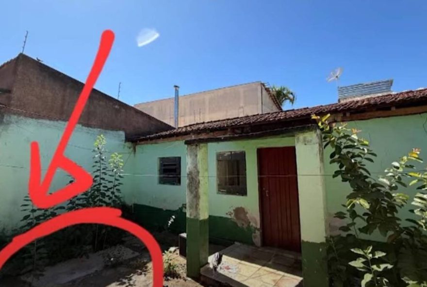 ossada-humana-e-encontrada-ao-lado-de-delegacia-em-goiania