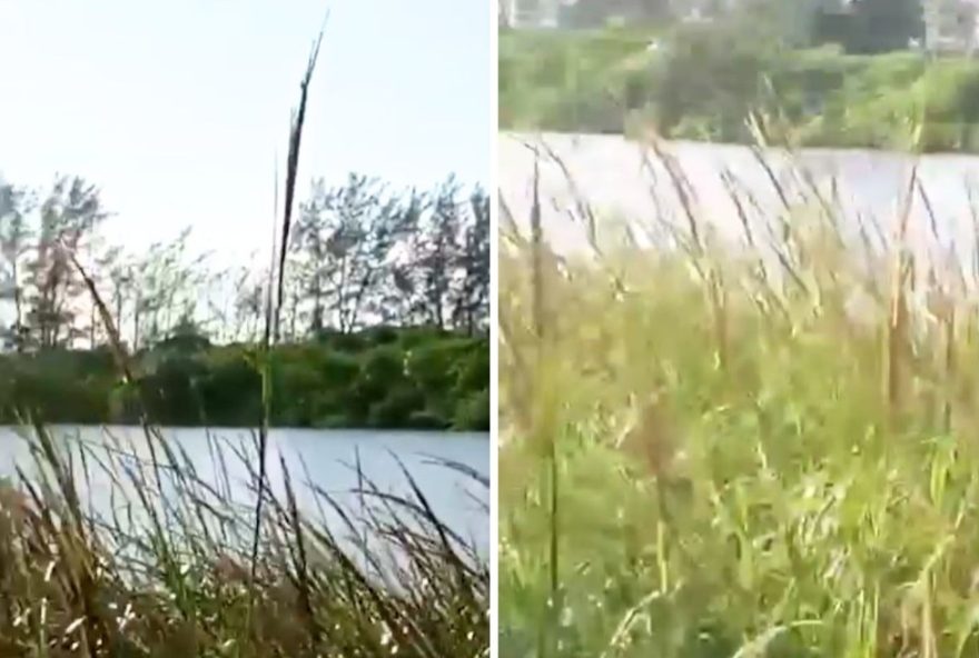 ossada-humana-encontrada-em-mangue-no-litoral-de-sp3A-policia-investiga-morte-suspeita ossada-humana-encontrada-em-mangue-no-litoral-de-sp3A-policia-investiga-morte-suspeita