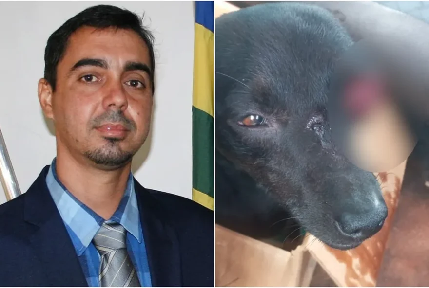 Suspeito de atirar em cachorro e cegá-lo de um olho, vereador é preso em Itajá