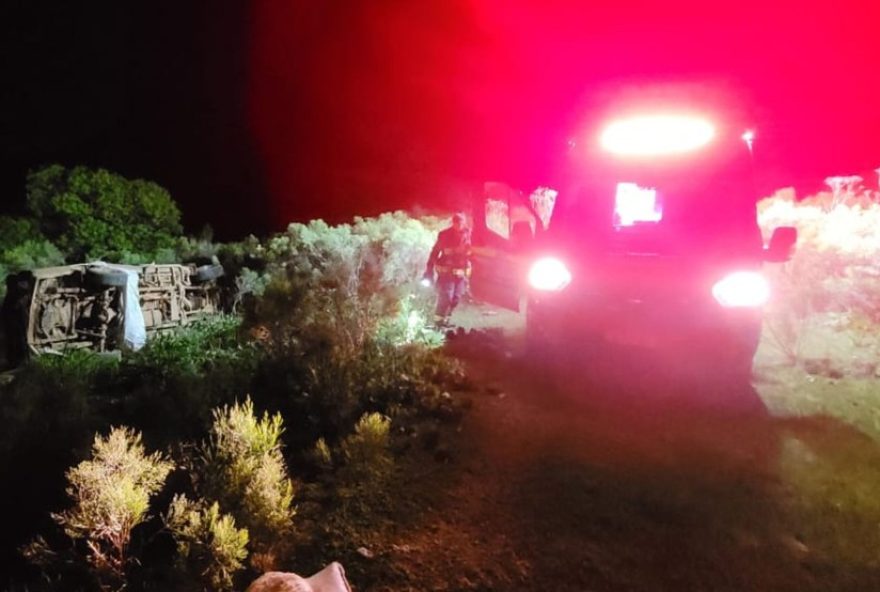 pai-e-filha-morrem-apos-ataque-de-abelhas-em-acidente-de-carro-no-rs3A-como-evitar-tragedias-como-essa pai-e-filha-morrem-apos-ataque-de-abelhas-em-acidente-de-carro-no-rs3A-como-evitar-tragedias-como-essa