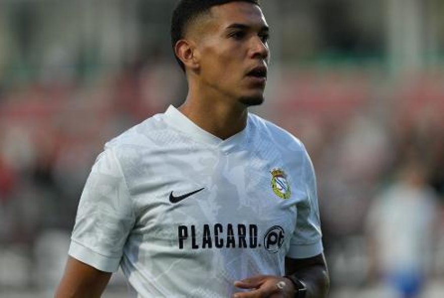 palmeiras-busca-reforco-para-a-zaga-em-2026 palmeiras-busca-reforco-para-a-zaga-em-2026